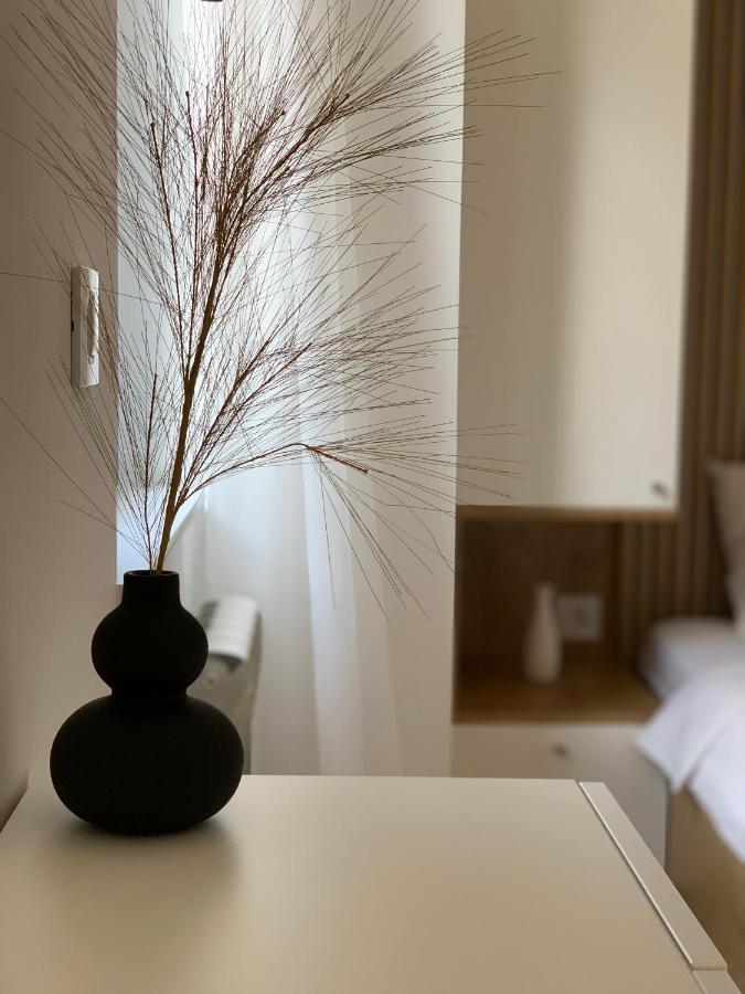 Selena Apartment Beograd Eksteriør bilde